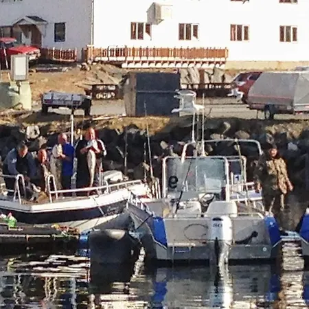 7 Person In Breivikbotn * Hansvoll